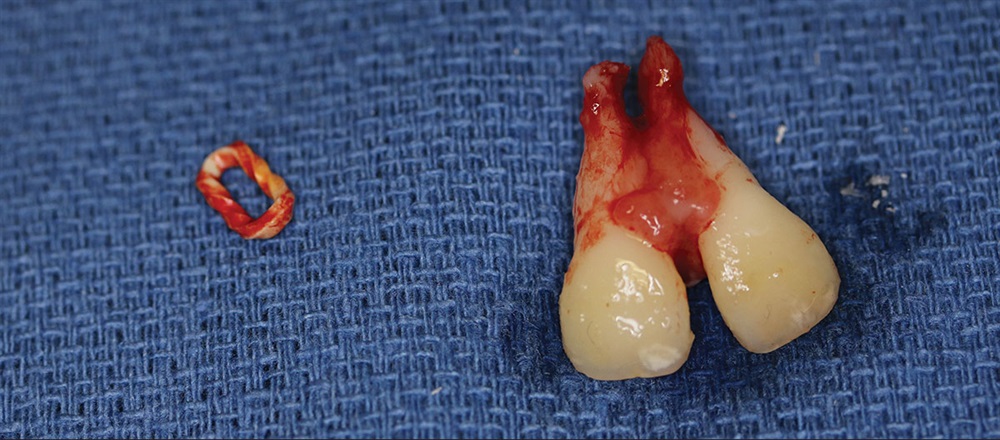 Dentaltown Magazine
