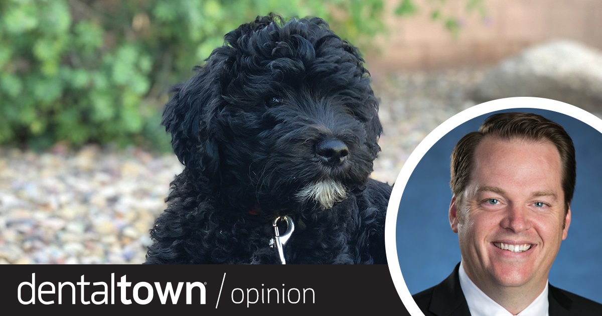 Professional Courtesy: Meet My Therapist  Dr. Thomas Giacobbi, Dentaltown’s editorial director, introduces us to his 1-year-old goldendoodle, Bear, and how he’s integrated his new family dog into his practice. 