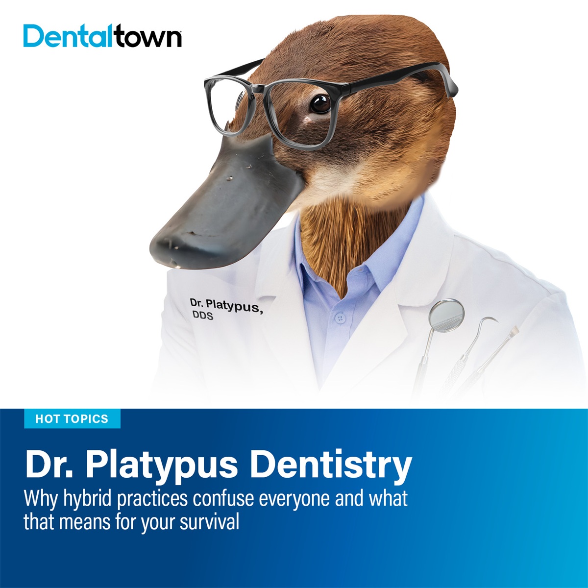 Dr. Platypus Dentistry Why hybrid practices confuse everyone and what that means for your survival