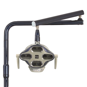 New LED Light from DentalEZ's Forest Collection