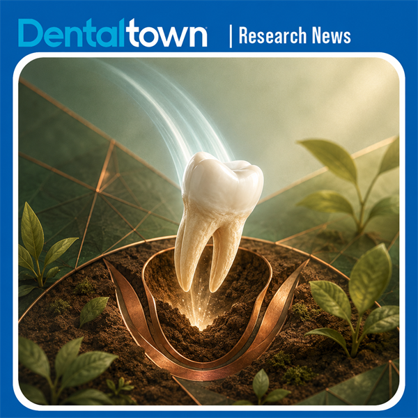 Long-Term Study Backs Immature Donor Teeth for Autotransplantation