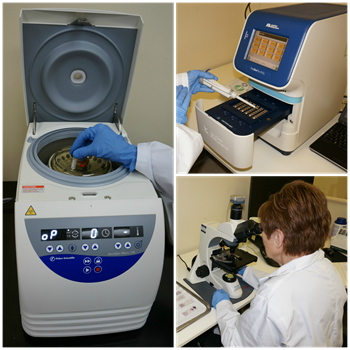 Oravital to Launch BiofilmDNA Oral Microbial Salivary Test at Chicago Midwinter Dental Meeting