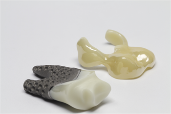 Replicate Immediate Tooth Replacement System to be Featured and Demonstrated at ACTA, Amsterdam