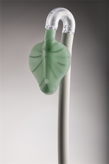 Kulzer Acquires Exclusive Rights to Market ReLeaf and LinguaGuard Products