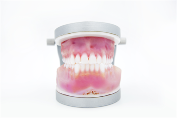 Dental Engineering Laboratories Releases TrueJaw Surgical Training Replicas