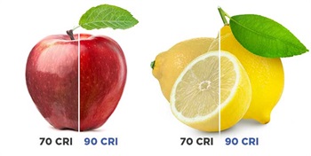 Orascoptic Launches TruColor Technology