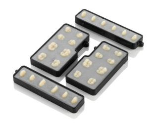 Heraeus Kulzer and Amann Girrbach Partner to Produce a Full Digital Denture