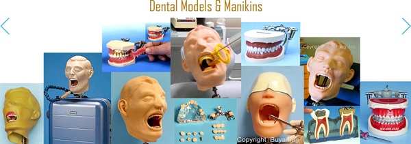 THE BEST DENTAL TEACHING RESOURCE ARE DENTAL MODELS FOR HANDS - ON EXPERIENCE AND PRACTICING DENTISTRY TECHNIQUES 