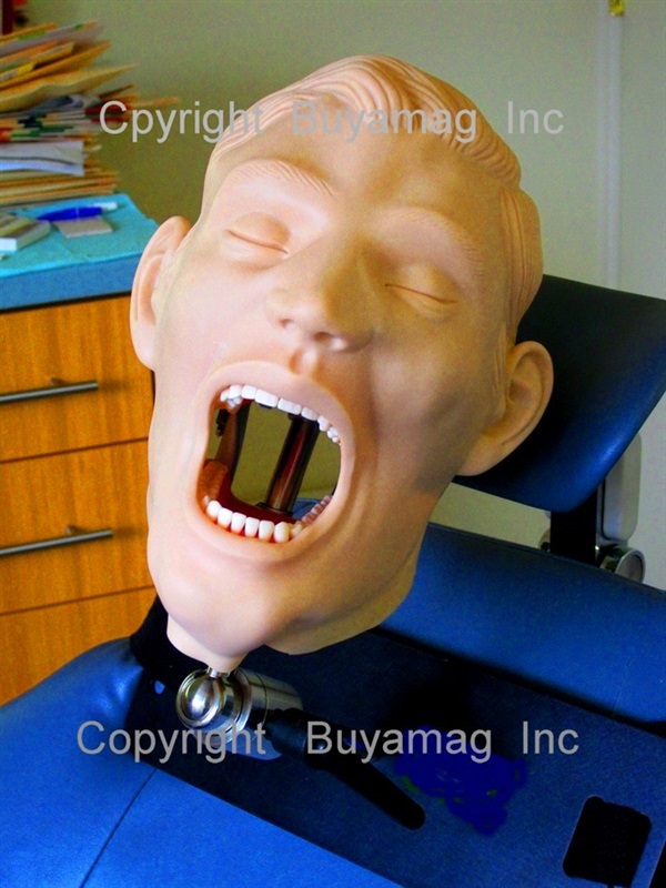 When it comes to Hygiene Models Periodontal Models Buyamag Inc Best Resource In Dental Schools. They Show Plug Build Up Cleaning Area To Maintain Oral Health   