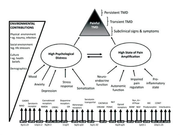 Figure 1: diagram of the findings from the OPPERA study.