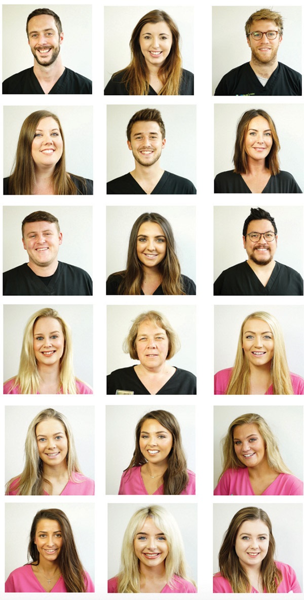 Team members