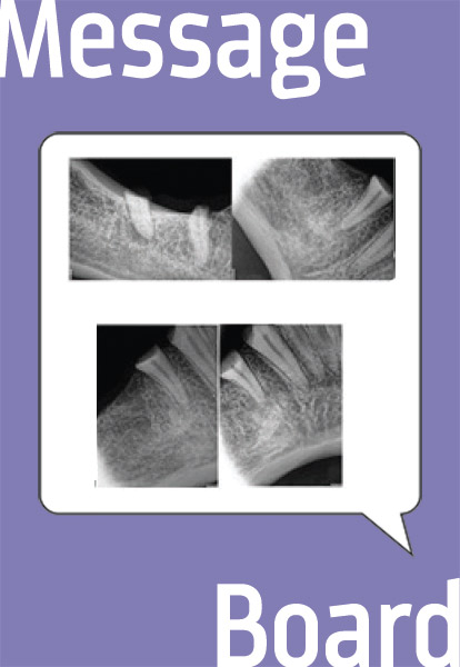 Message Board Header