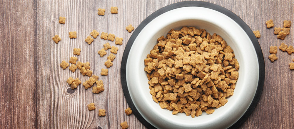 Professional Courtesy: Eat Less Dog Food