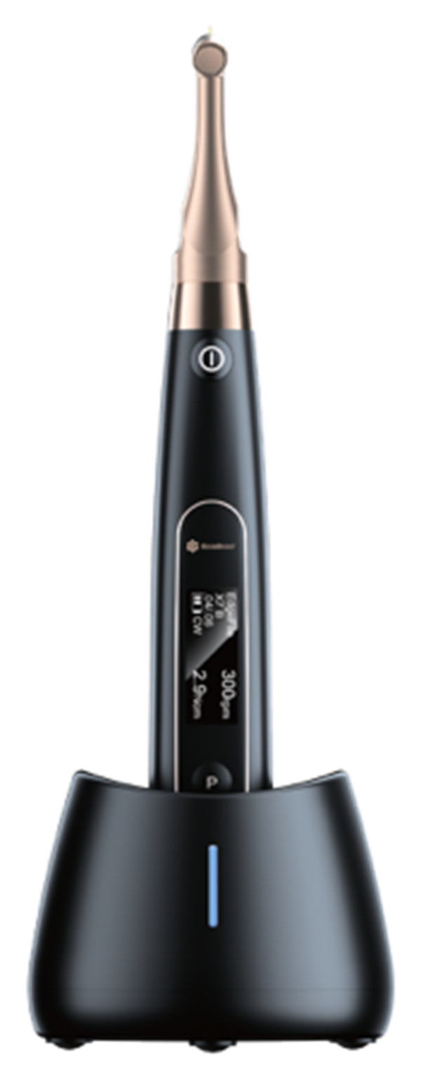 Case Profile: Simplifying Root Canal Preparation