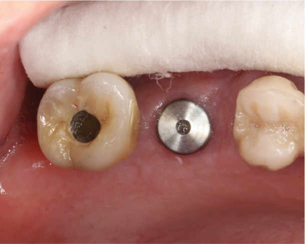 Fig. 8