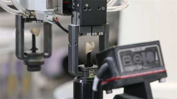 Pioneering Digital Dentistry for the Modern Practice