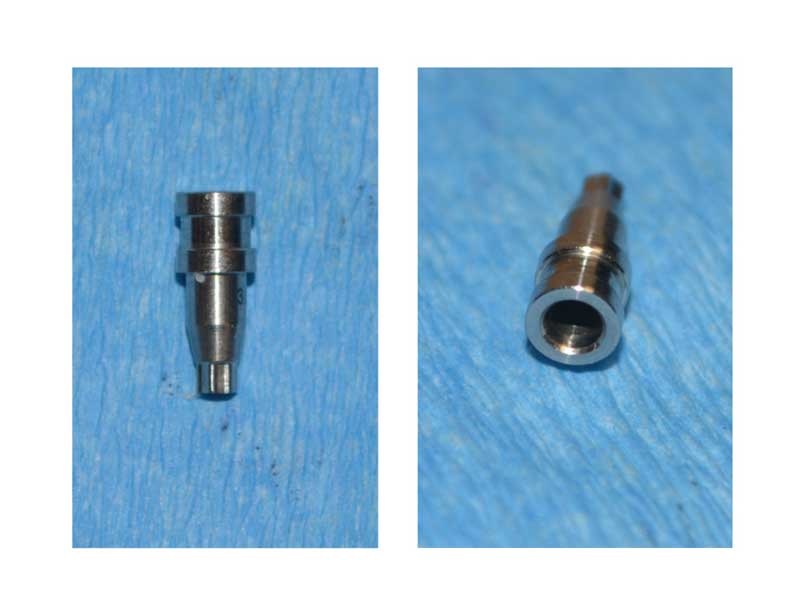 Dental Implant Abutment Screws_A New Twist