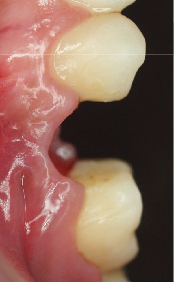 Fig. 8