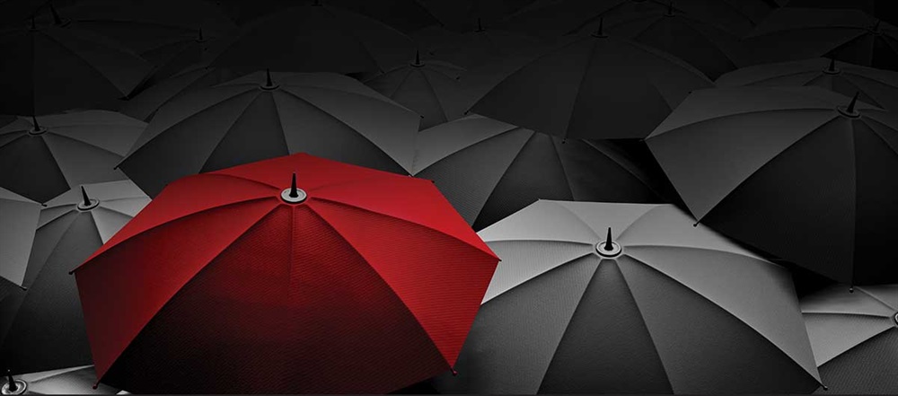 Weathering the Storm 