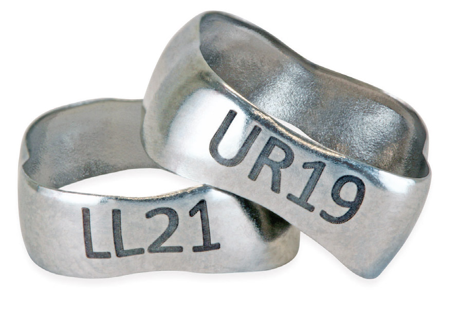 MRX Molar Bands