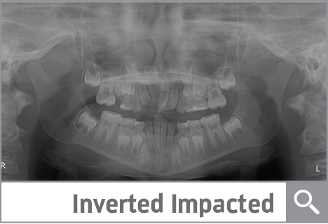 Dentaltown APP