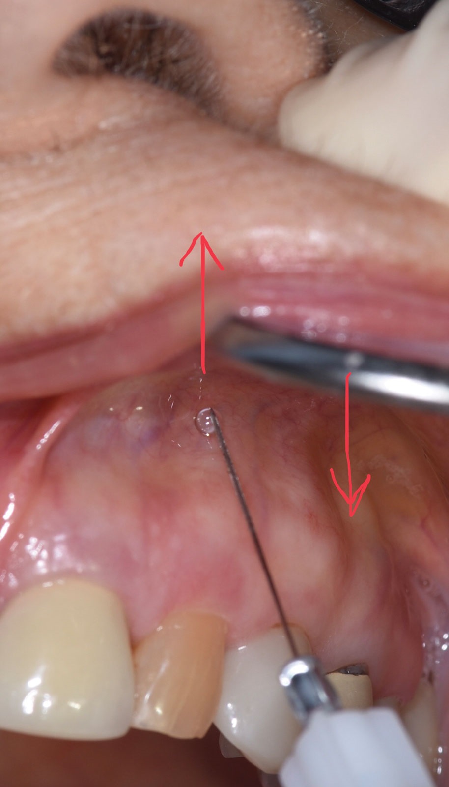 Dentaltown 3